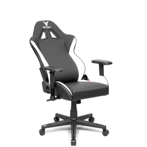 Combat X Gaming Chair