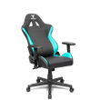 Load image into Gallery viewer, Combat X Gaming Chair